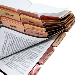 Abas Adesivas Para Bíblia + Índice lateral | 4 cartelas - Tons Terrosos em Oferta na Shopee