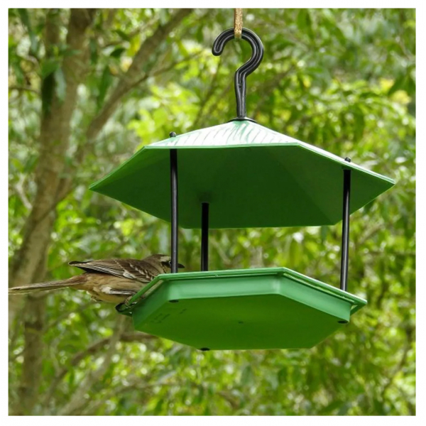 Tratador Comedouro Para Pássaros Livres. Limpo, Ecológico Resistente Ao Sol E Chuva