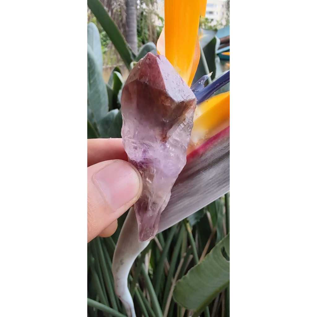 Ametista Aurelite Super Seven Red Cap Cacoxenita Ponta Natural 20g a 40g Cristal Raro Reiki