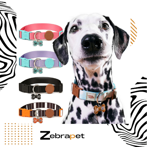 Toh - Coleira ID Cachorro Tag QR Code