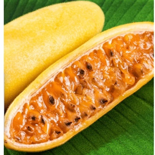 Sementes de maracuja banana em Oferta na Shopee