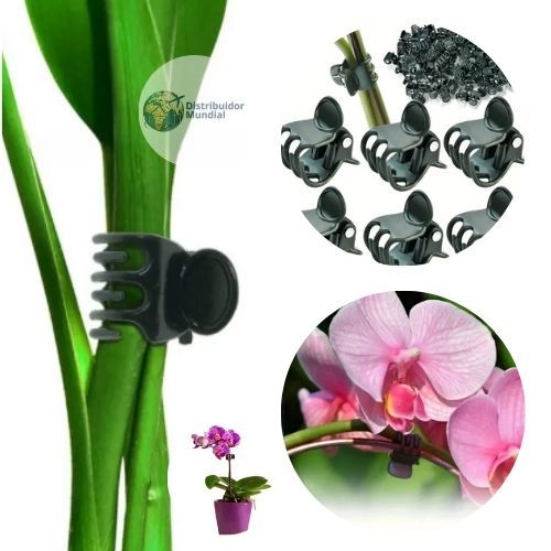 Kit 100 Mini Grampo para Orquídeas Jardim Plantas Floricultura Jardinagem Planta