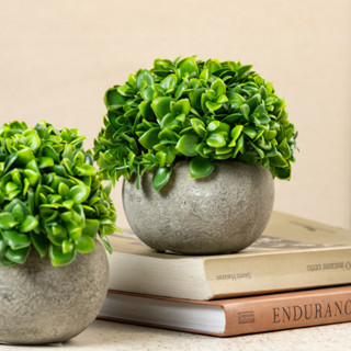 Kit 2 Vaso Buchinho Planta Artificial Vasinho Arranjo Plantinha Planta Decorativo