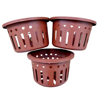 Kit 15 Vasos Para Orquídeas Plástico Marrom Pt 15 Vazado em Oferta na Shopee