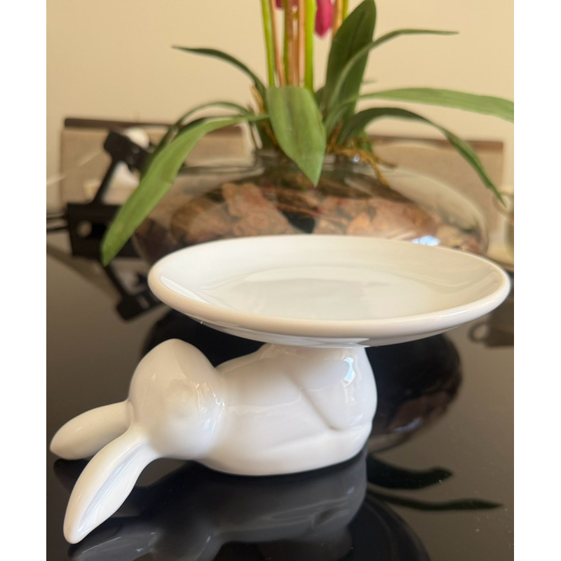 Boleira Coelho: Guia Completo e Onde Comprar | BuscaProdutos