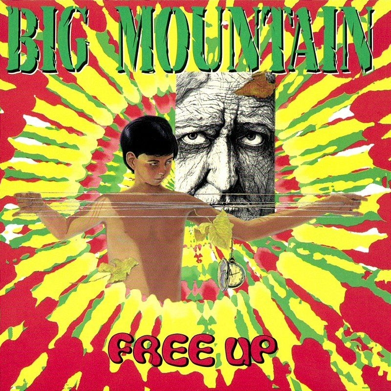 CD Big mountain- free up (usado)