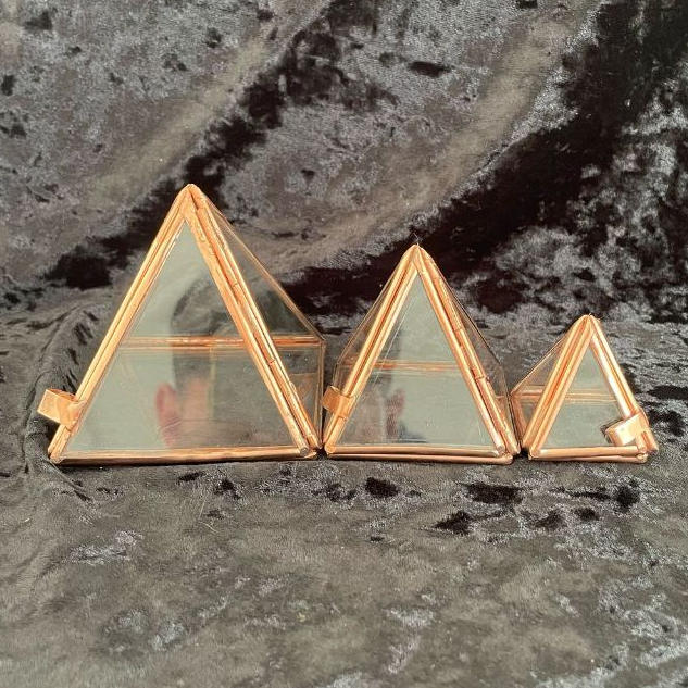 O que é Terrario em Vidro? Guia e Onde Comprar | BuscaProdutos