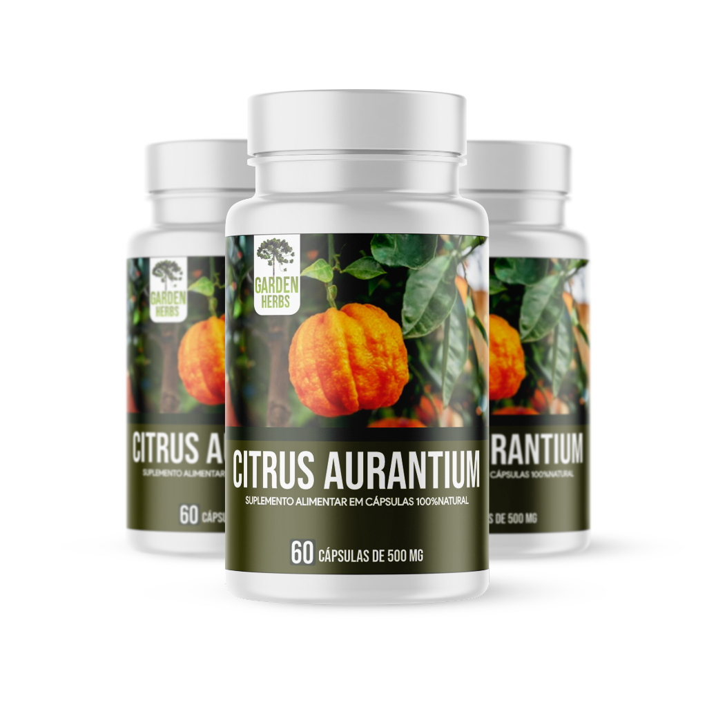 Laranja Azeda: Guia Completo e Onde Comprar | BuscaProdutos