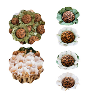 Kit 100 forminhas Bela Em Papel Especial em Oferta na Shopee