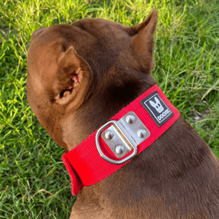 Coleira Nylon Para Cachorro Raças de Grande Porte Pet Pitbul Reforçada - Original Dogvix em Oferta na Shopee