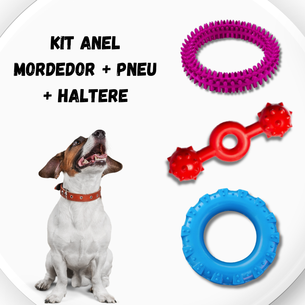 Kit Mordedores Pet com Pneu + Anêmona + Haltere Brinquedos Maciços Cachorro Médio Porte