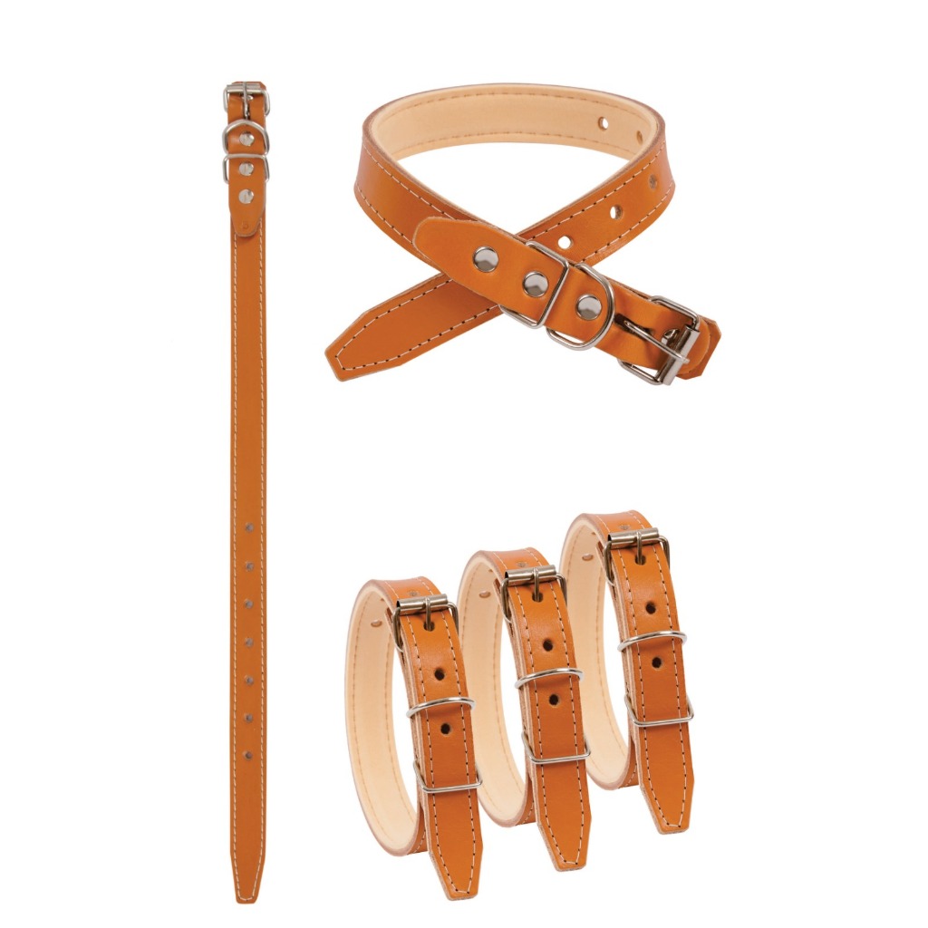 Coleira Couro Premium nº 5 Cachorro Cão Pet