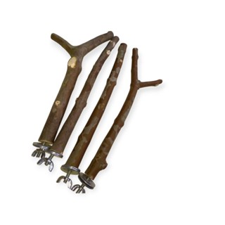 4 Poleiros 30 cm goiabeira com casca, calopsita ringneck....... em Oferta na Shopee