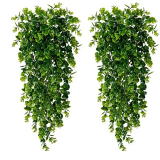 Pendentes Eucalipto Jardim Vertical Folhagem Toque Realista Decoração em Oferta na Shopee