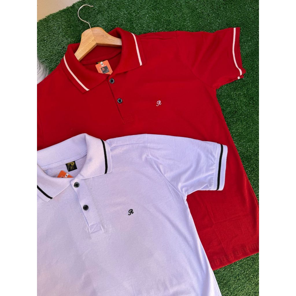 KIT 2 Camiseta Gola Polo Masculina P ao GG 100% Algodão Basica