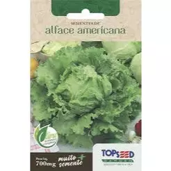 Semente Alface Americana Topseed - 1 Envelope