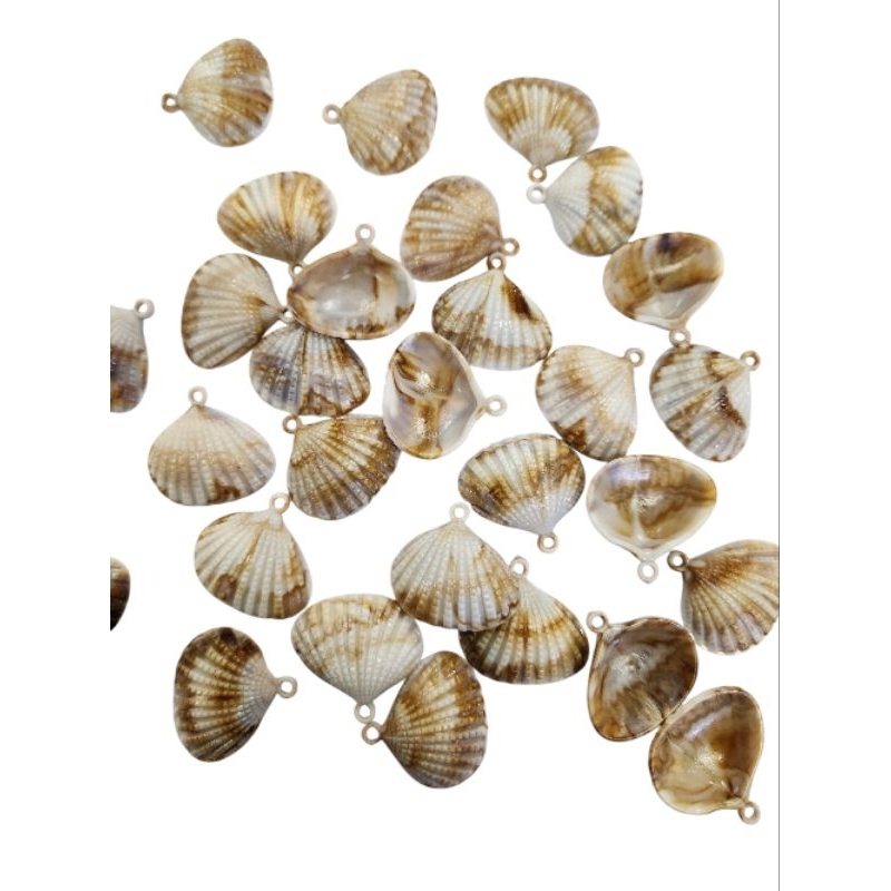 50 Gramas Conchas Plásticas Abs Pingente Mescladas 28mm x 2,5mm em Oferta na Shopee