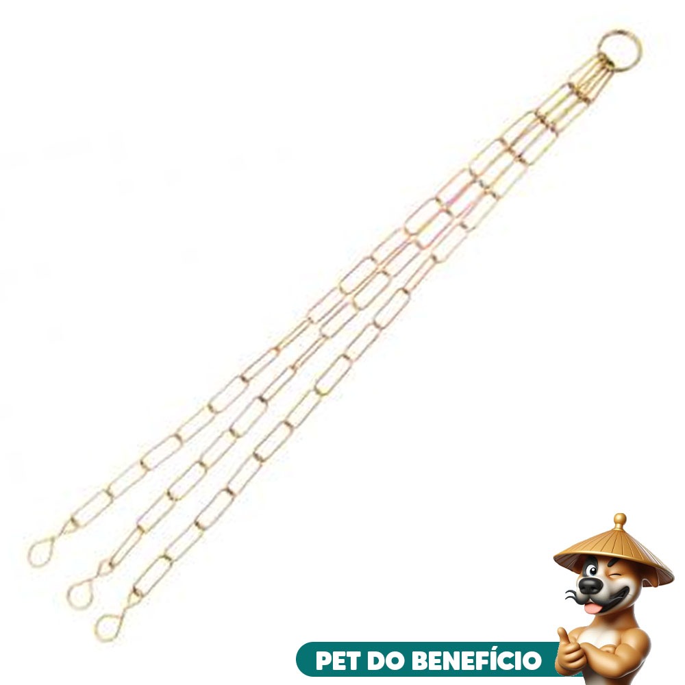 O que é Corrente Lustre para Vasos Regaplan Dourada? Guia e Onde Comprar | BuscaProdutos