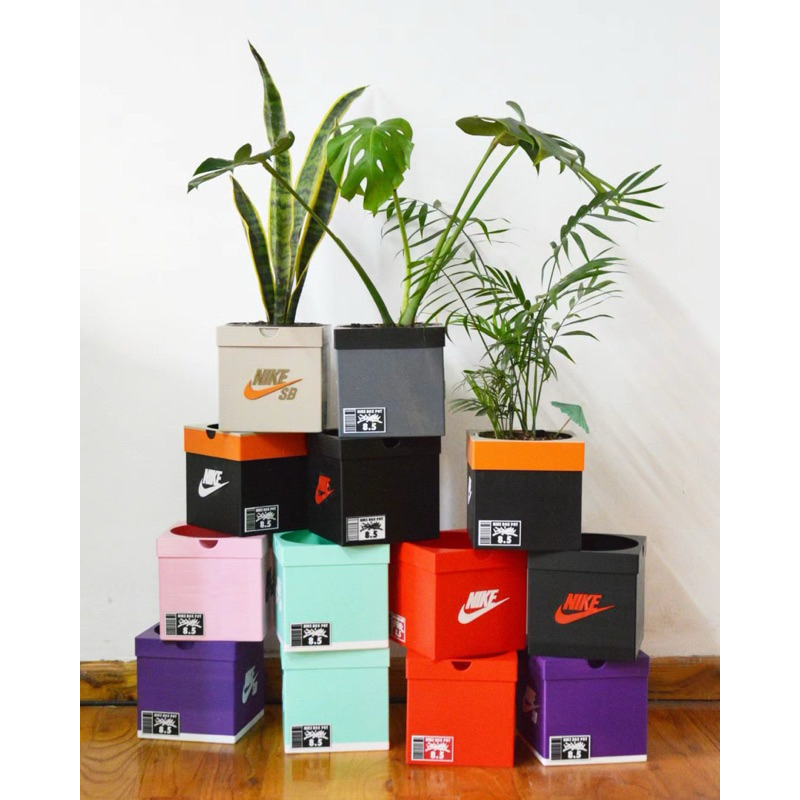 Vaso Tenis Sneaker