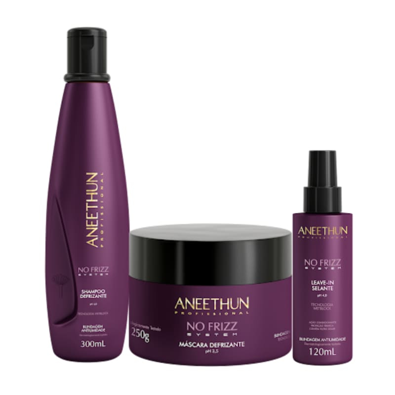Kit Aneethun No Frizz System - Shampoo 300ml , Máscara 250ml e Leave-In Selante 120ml