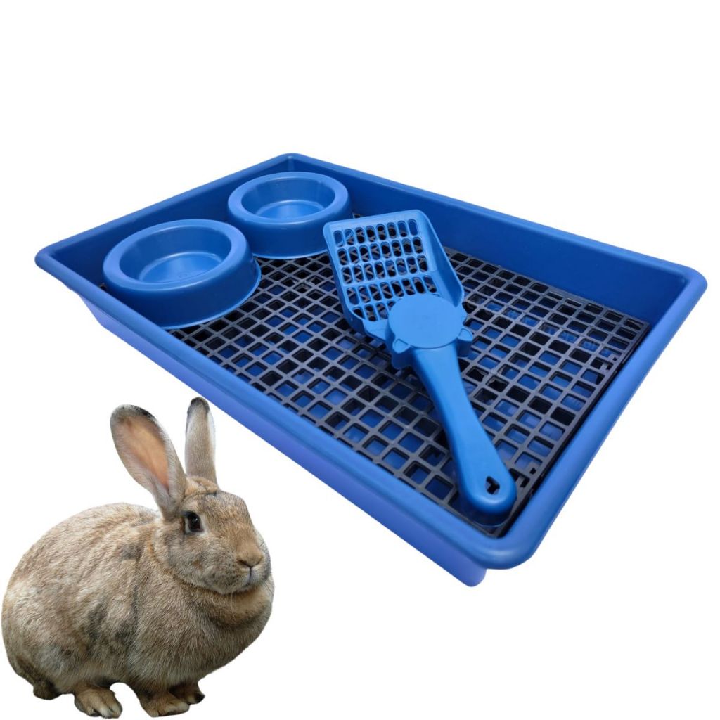 Bandeja Sanitária Para Coelhos Porquinho Da India Roedores