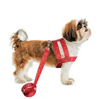 Conjunto Peitoral Com Guia De Seda Para Cachorro Cão Porte Pequeno - Conforto E Estilo Para Seu Pet em Oferta na Shopee