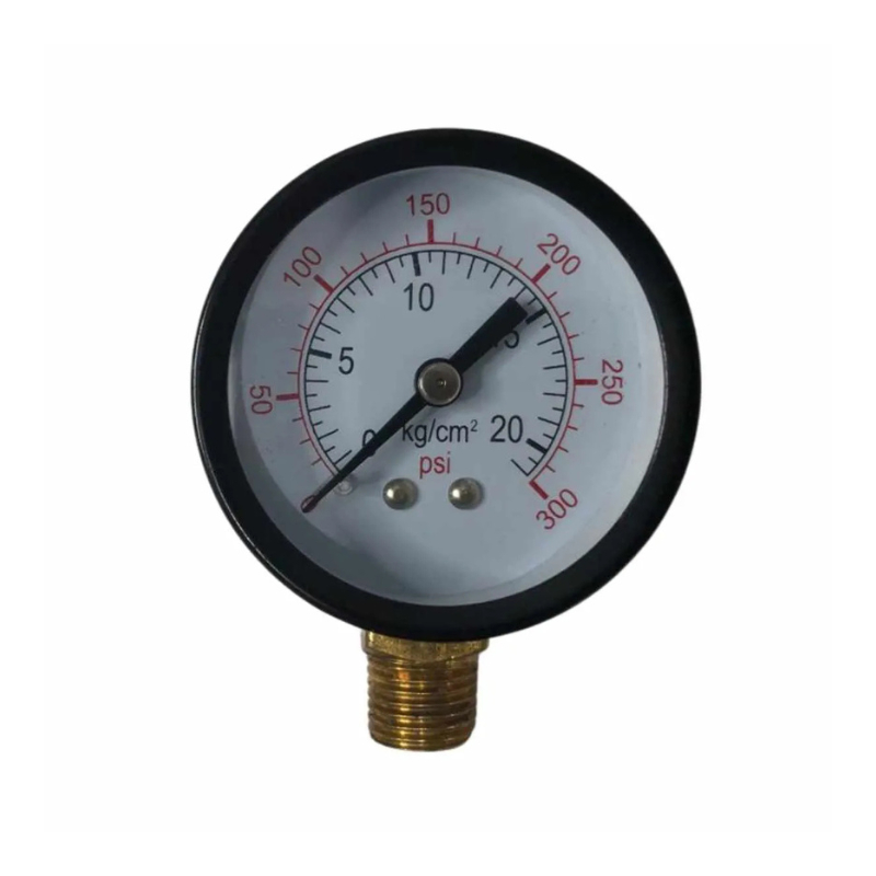 Kit 10 MANÔMETRO MEDIDOR DE PRESSÃO VERTICAL 1/4 20BAR 300PSI em Oferta na Shopee