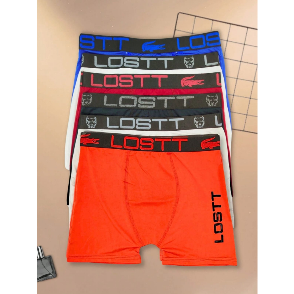 Kit 5 Cueca Boxer Masculina Adulto Microfibra Premium Forro Cuecas Box Masculino Coeca Roupa Íntima LOSTT