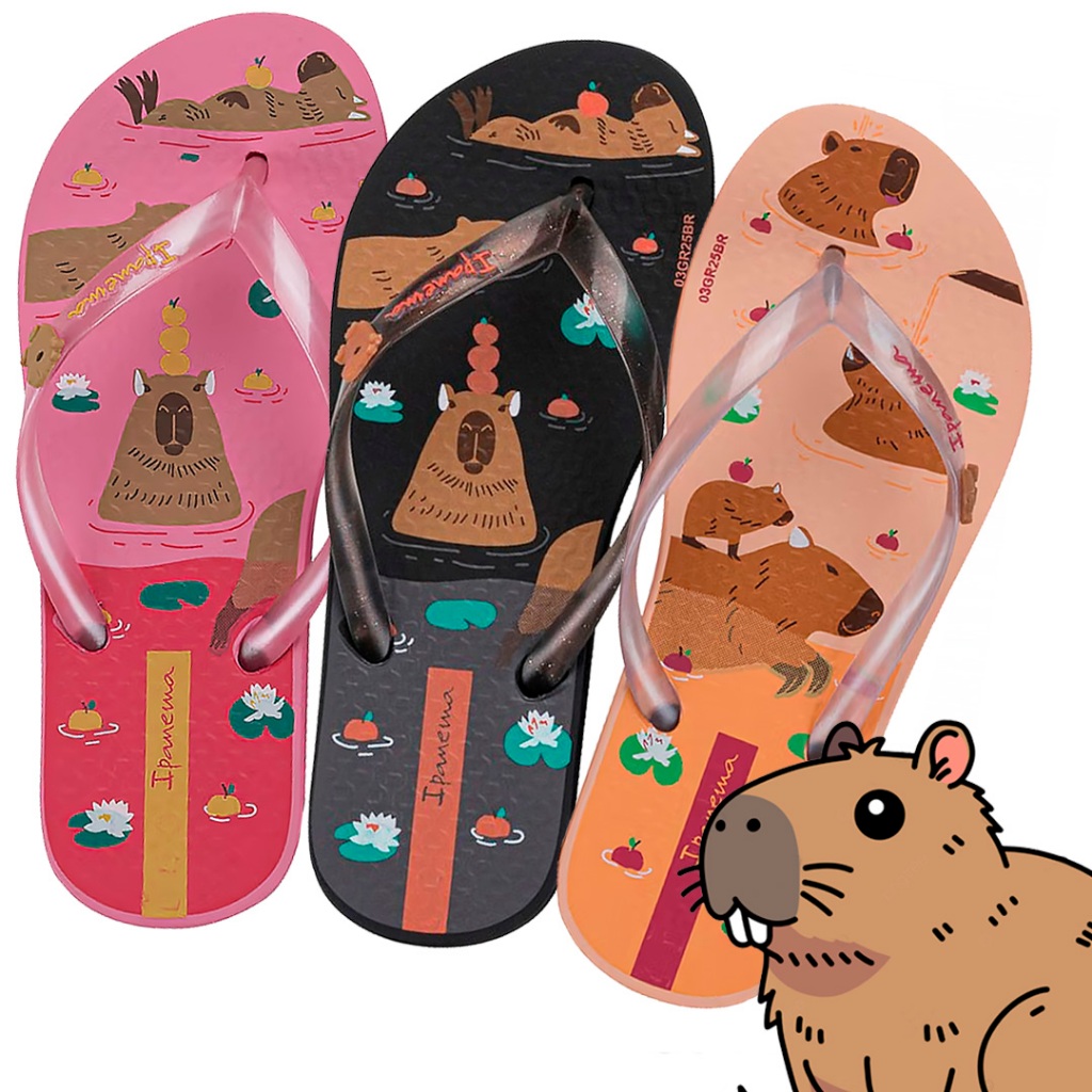 Chinelo Ipanema Hype Capy Feminino 27388 - Women Shoes