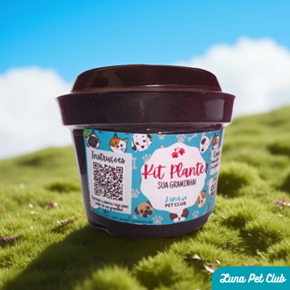 Kit Plante sua Graminha! - Grama Graminha para Pets (Gatos e Cachorros) em Oferta na Shopee