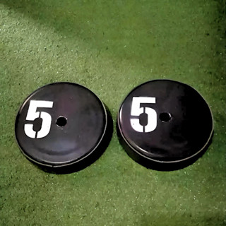 Anilhas de 5KG (02 Unidades) em Oferta na Shopee