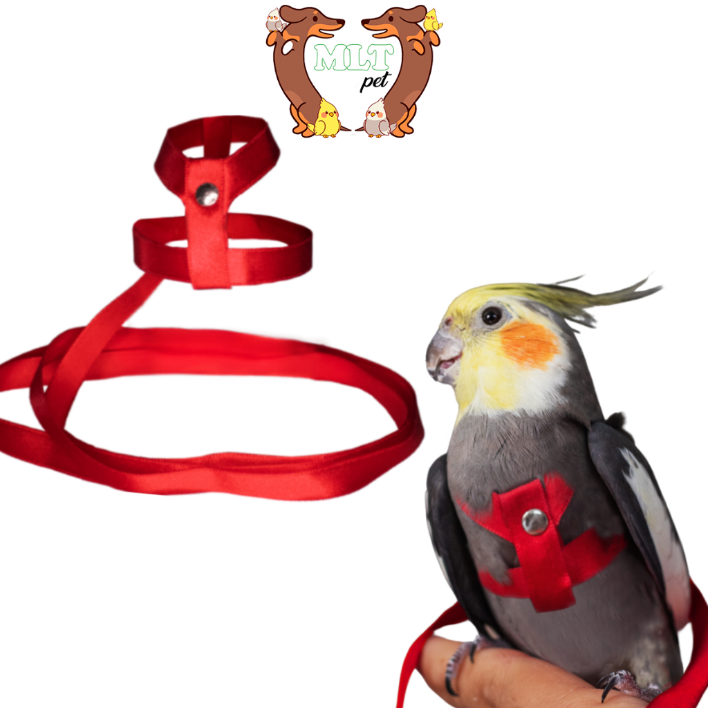 Coleira Peitoral para Calopsita Cetim Guia Mlt Pet em Oferta na Shopee