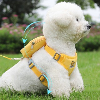 Peitoral Coleira Com Guia e Bolsa Removível Para Cachorro Pet Cães Pequenos E Médios Gato ...