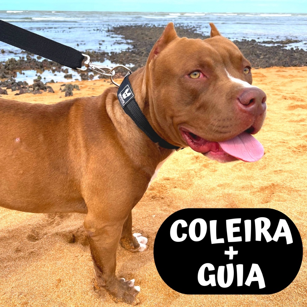 Coleira Colar Com Guia Nylon Para Cachorro Raça Grande Resistente Pet Pitbull