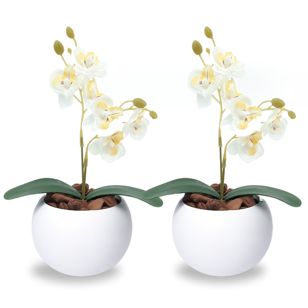 Kit 2 Mini Orquídea Com Vaso de Gesso e Cascas de Pinus Natural