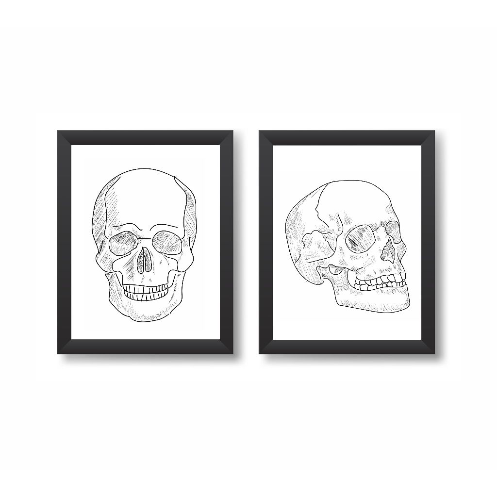 Kit 2 Quadros Decorativos Consultório Médico Crânio A4 Molduras Pretas