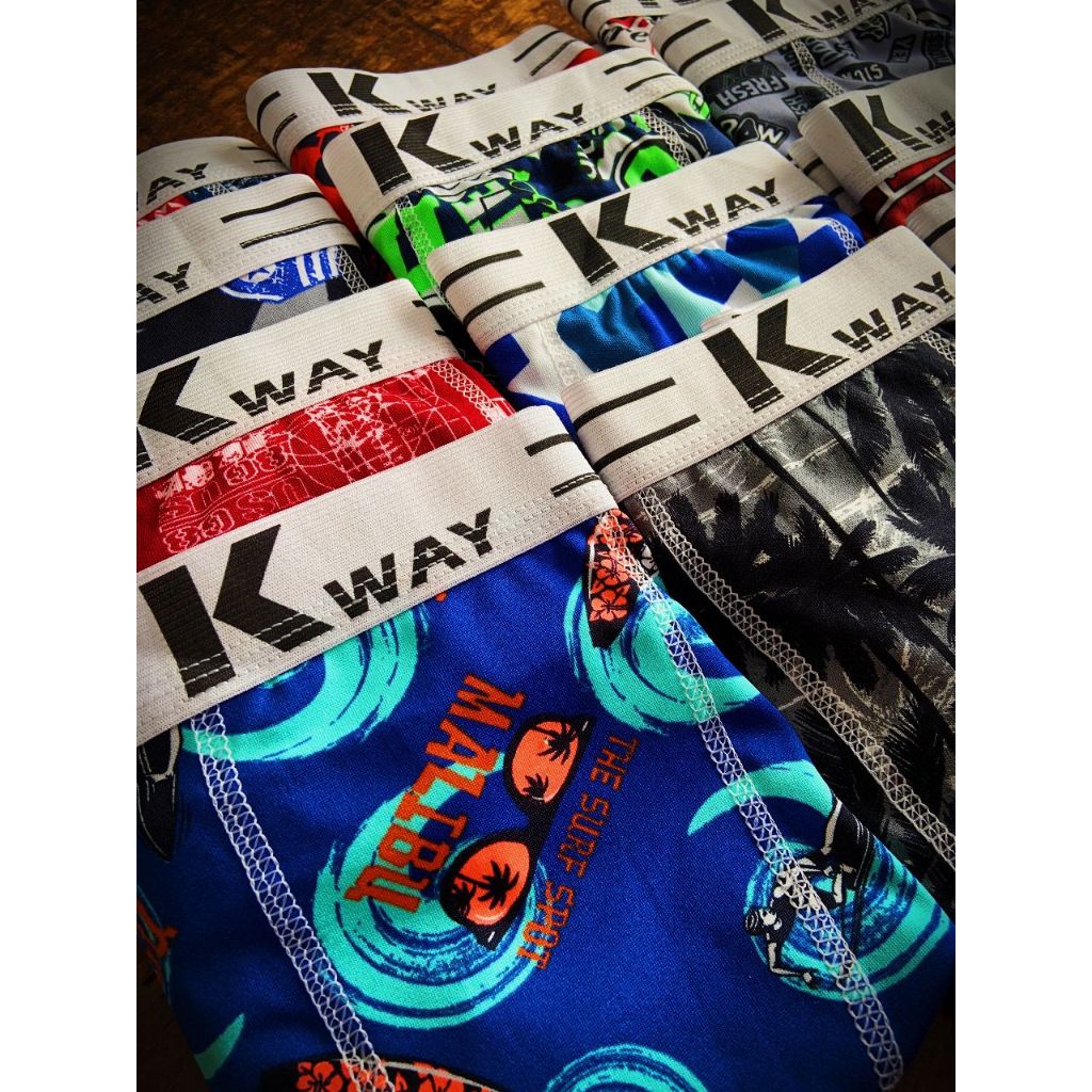 Kit 10 Cuecas Boxer Microfibra