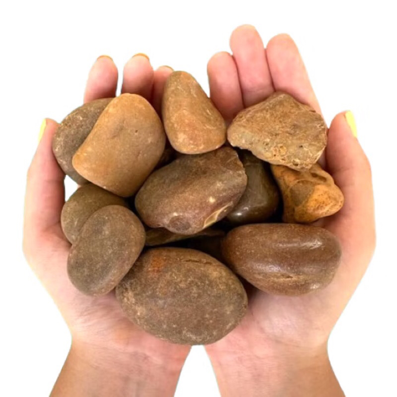 Seixo Pedra de Rio 1kg Natural Decorativo Jardim Aquário Vasos Paisagismo Branco/Colorido