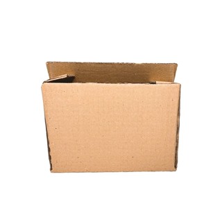 300 Caixas De Papelão Para Correios 16x11x3 D0 ECONOMICO.. em Oferta na Shopee