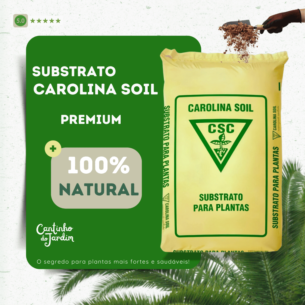 Substrato Carolina Soil para Suculentas: Onde Comprar | BuscaProdutos