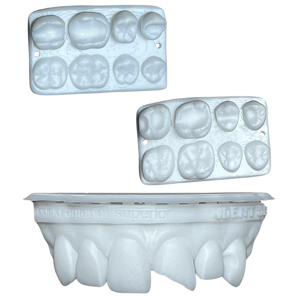 KIT MODELO DE TREINO | TREINO ANATOMIA | DENTES EM RESINA | ESCULTURA DENTAL | ANATOMIA DENTAL em Oferta na Shopee