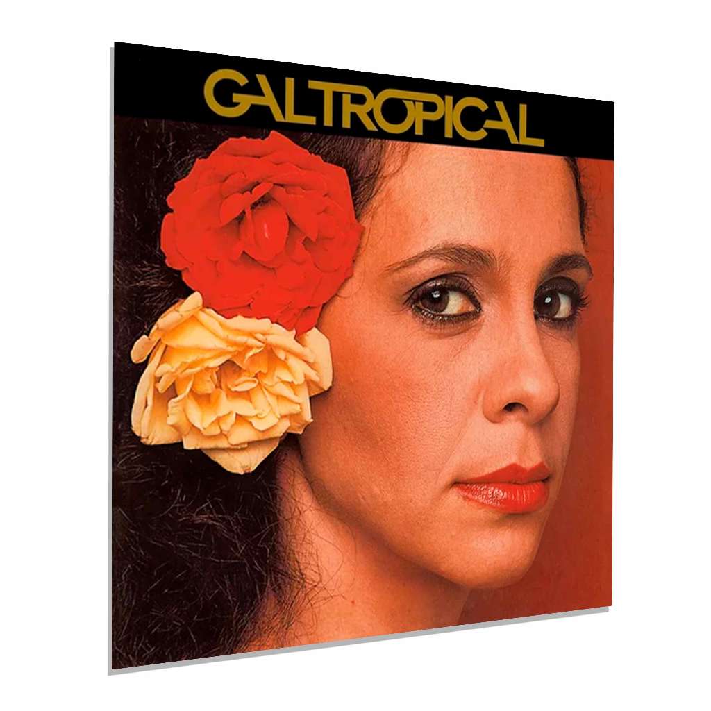 Placas Decorativas Albuns GAL COSTA