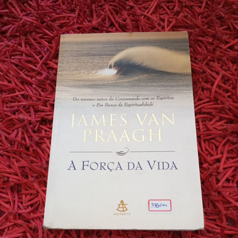 A força da vida James Van Praagh (3382m)