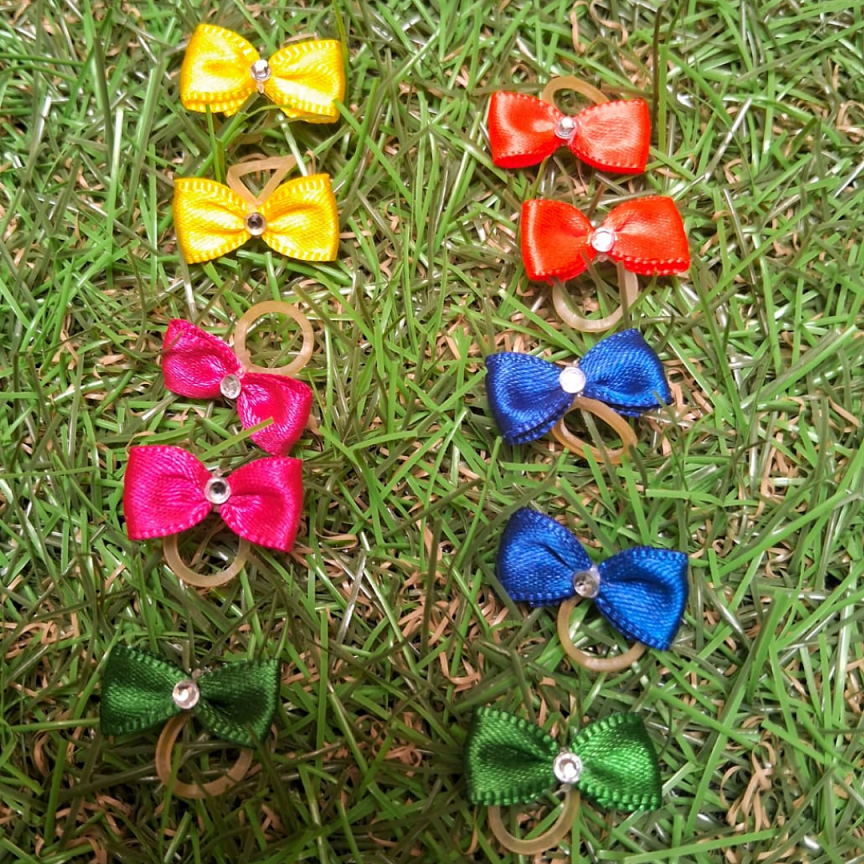 Laços Pet Pequeno 10 unidades em Oferta na Shopee