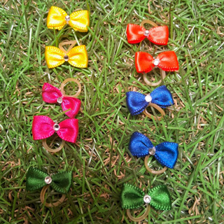 Laços Pet Pequeno 10 unidades em Oferta na Shopee