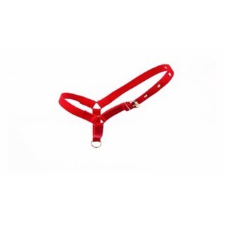 Cabresto Regulável em Fita para Vacas, Bezerros e Bovinos Manejo e Leilões