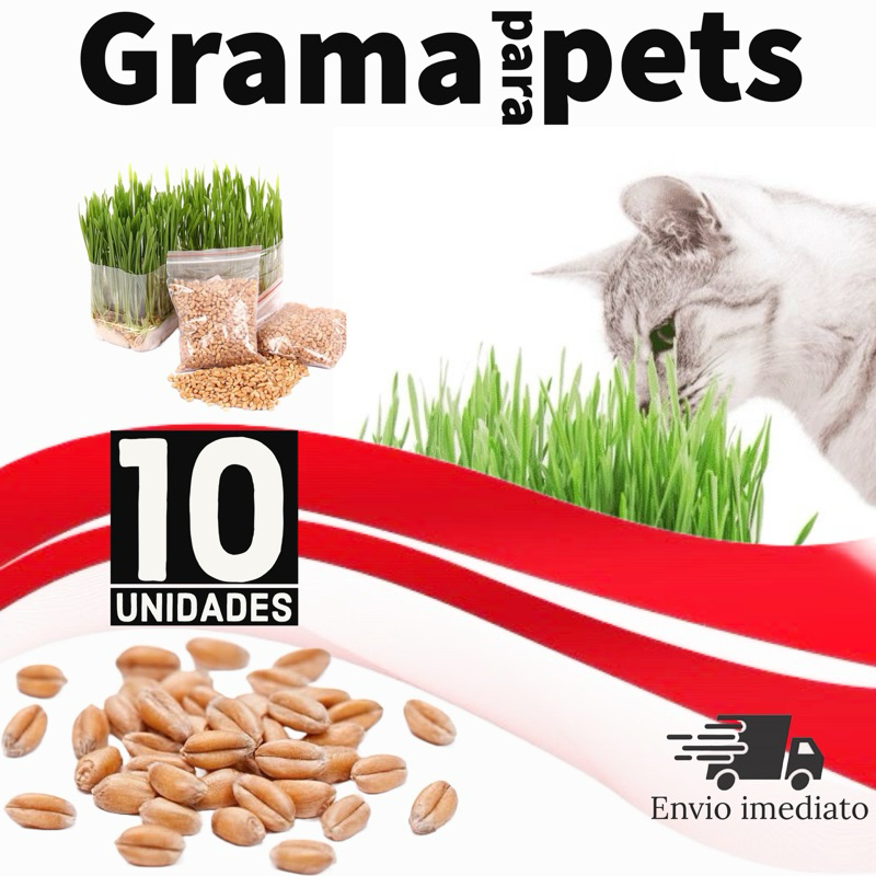 Grama Para Gatos Pet Graminha Trigo Semente Cachorro