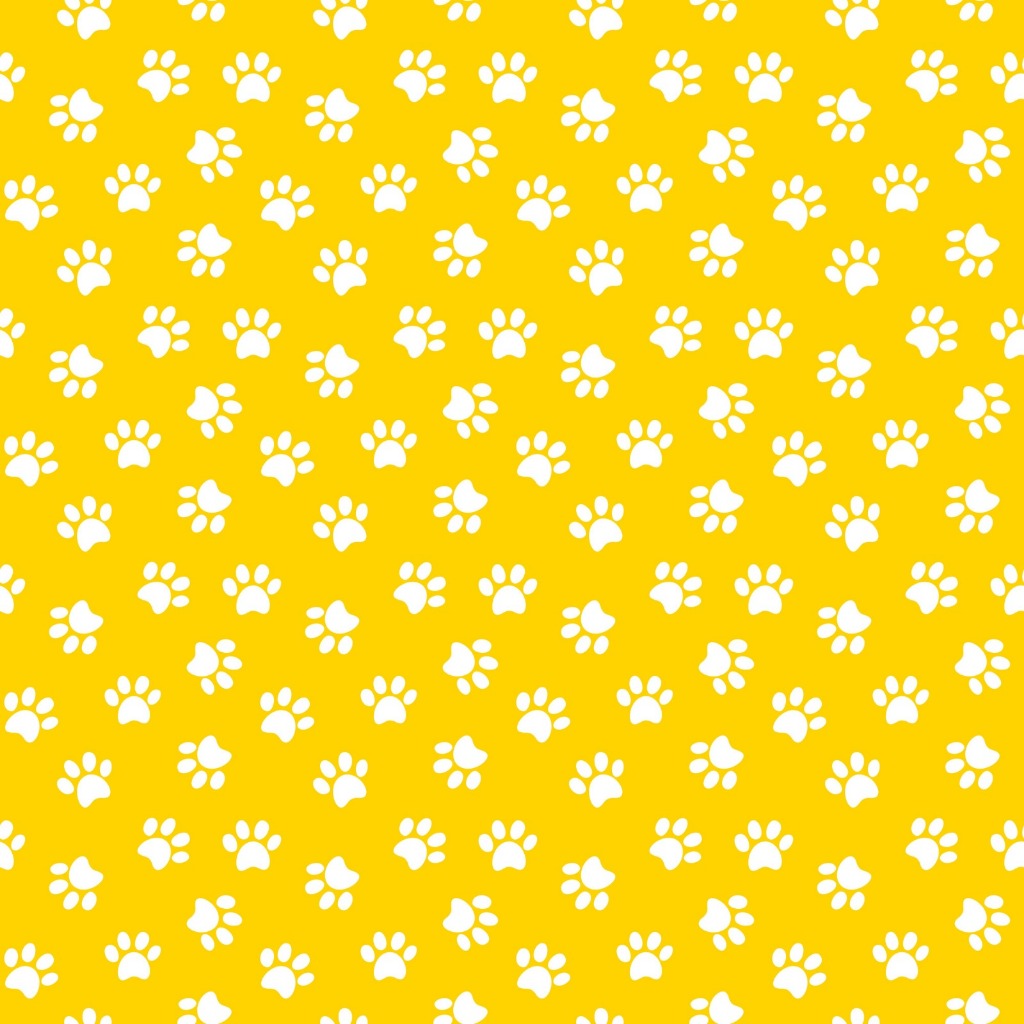 Novidades Lençois Pets O Carinho que seu Pet Merece em todos os Momentos. Ele dorme como um cão e acorda como um rei.