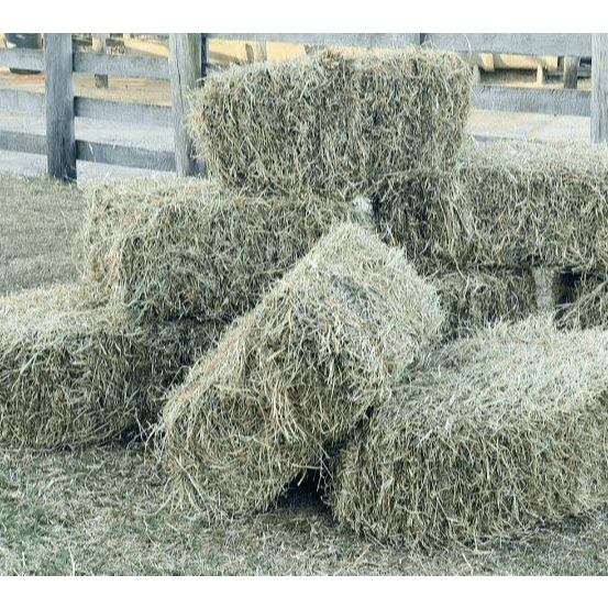 Feno Fardo: Guia Completo e Onde Comprar | BuscaProdutos