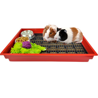 Bandeja Higihênica Extra Grande Para Porquinho da ìndia Roedores Mini Coelho em Oferta na Shopee